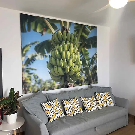 Daire Casa Banana Ocean View Adeje *