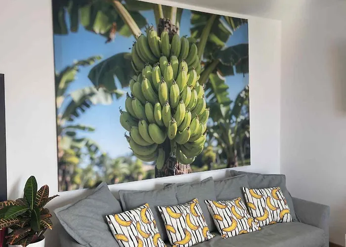 דירה Casa Banana Ocean View *